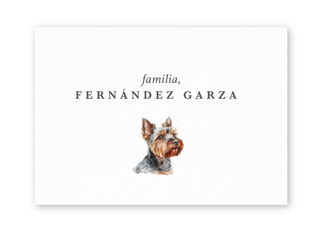 Tarjetas Yorkshire Terrier