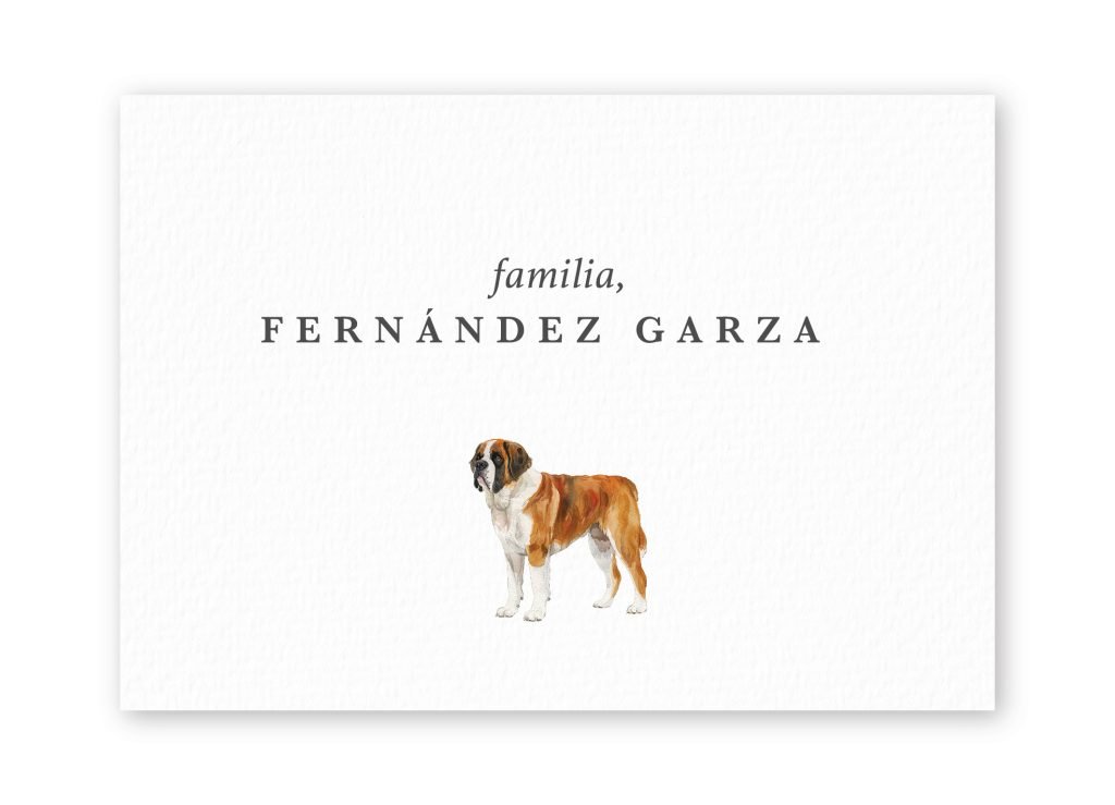 Tarjetas St. Bernard