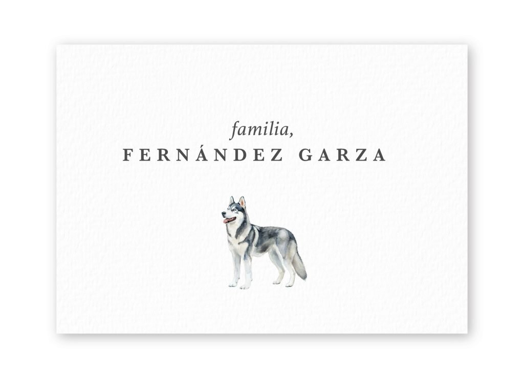 Tarjetas Siberian Husky