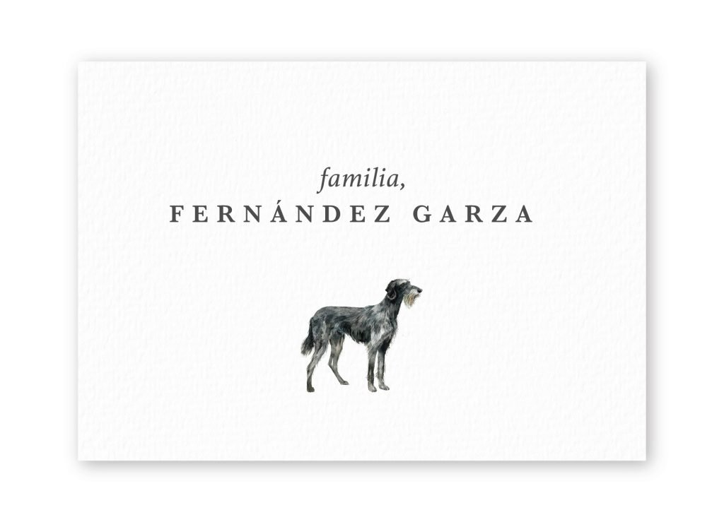 Tarjetas Scottish Deerhound