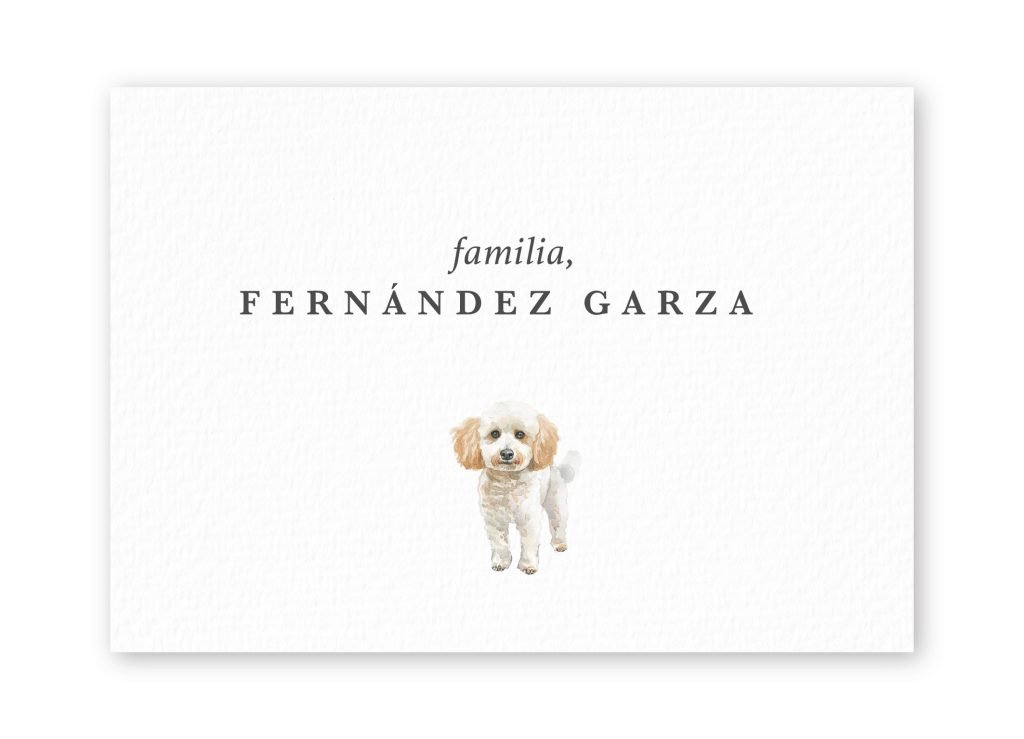 Tarjetas Poodle