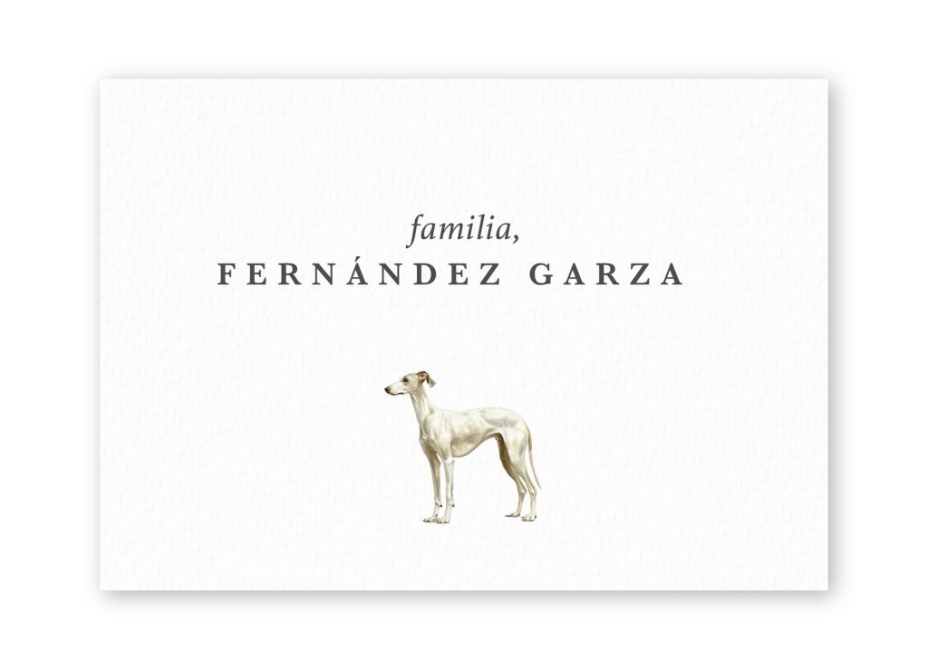 Tarjetas Whippet