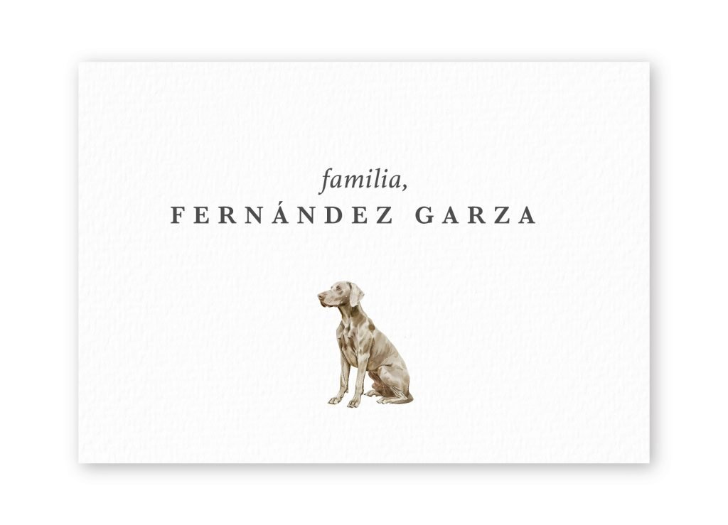 Tarjetas Weimaraner