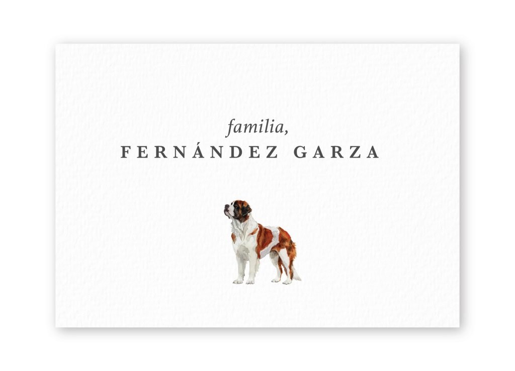 Tarjetas St. Bernard