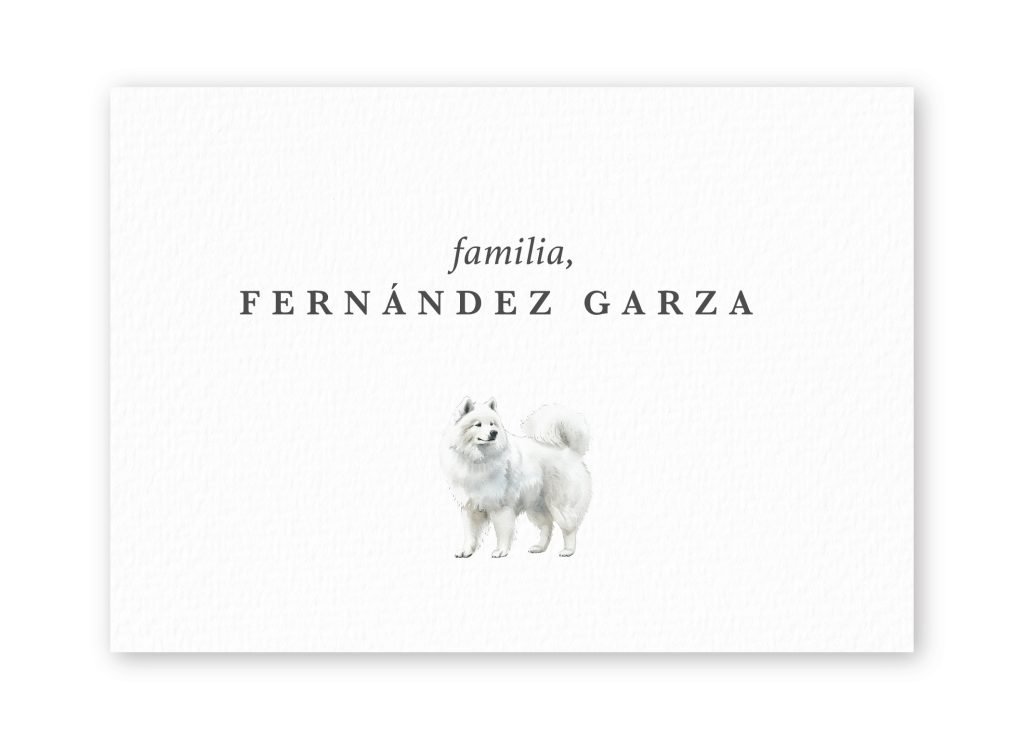 Tarjetas Samoyed
