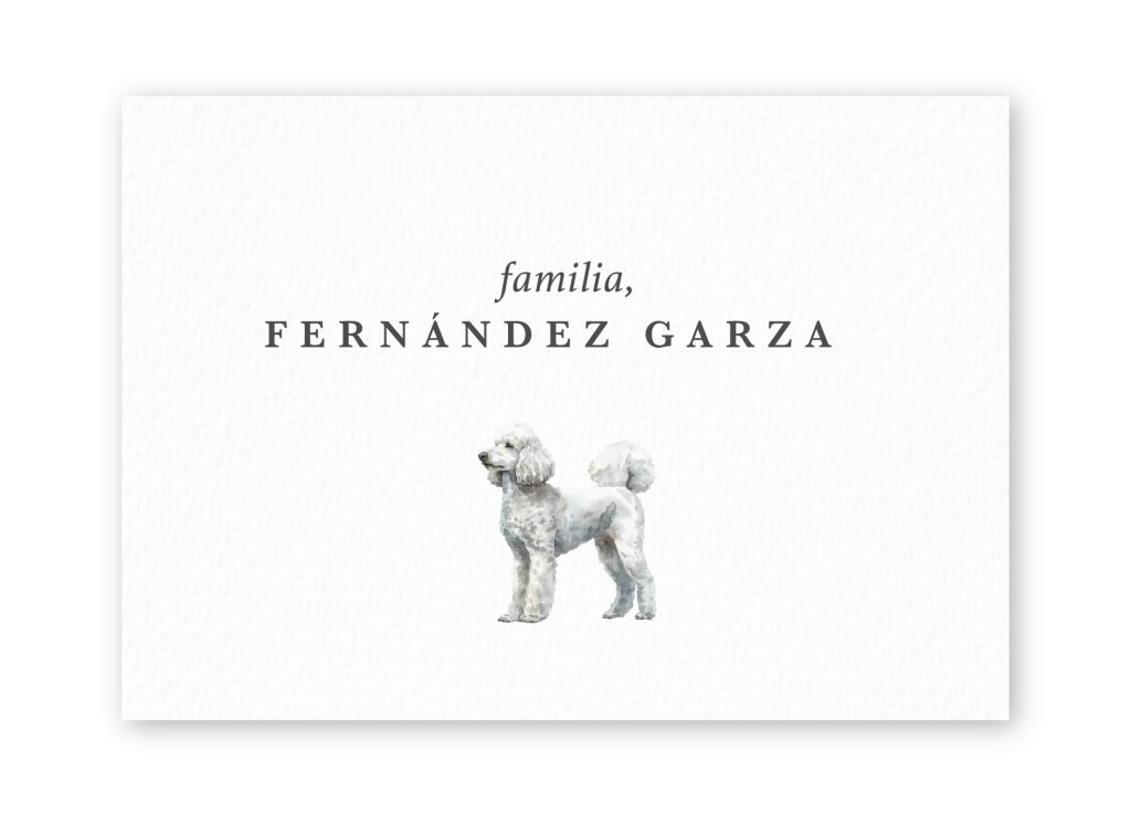 Tarjetas Poodle