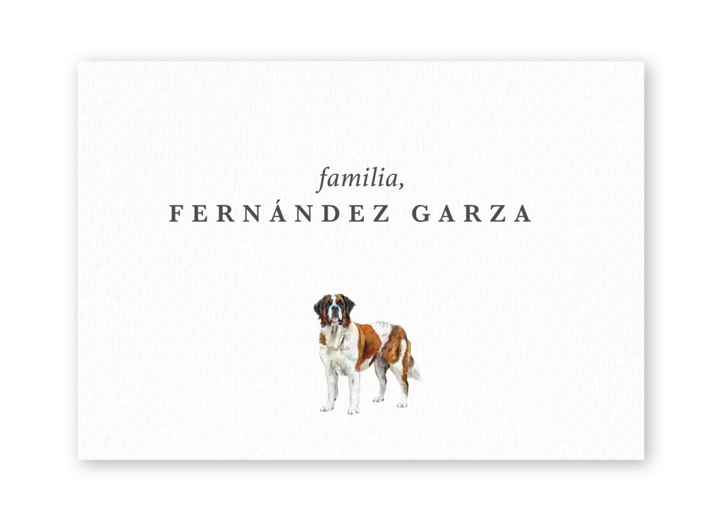Tarjetas St. Bernard