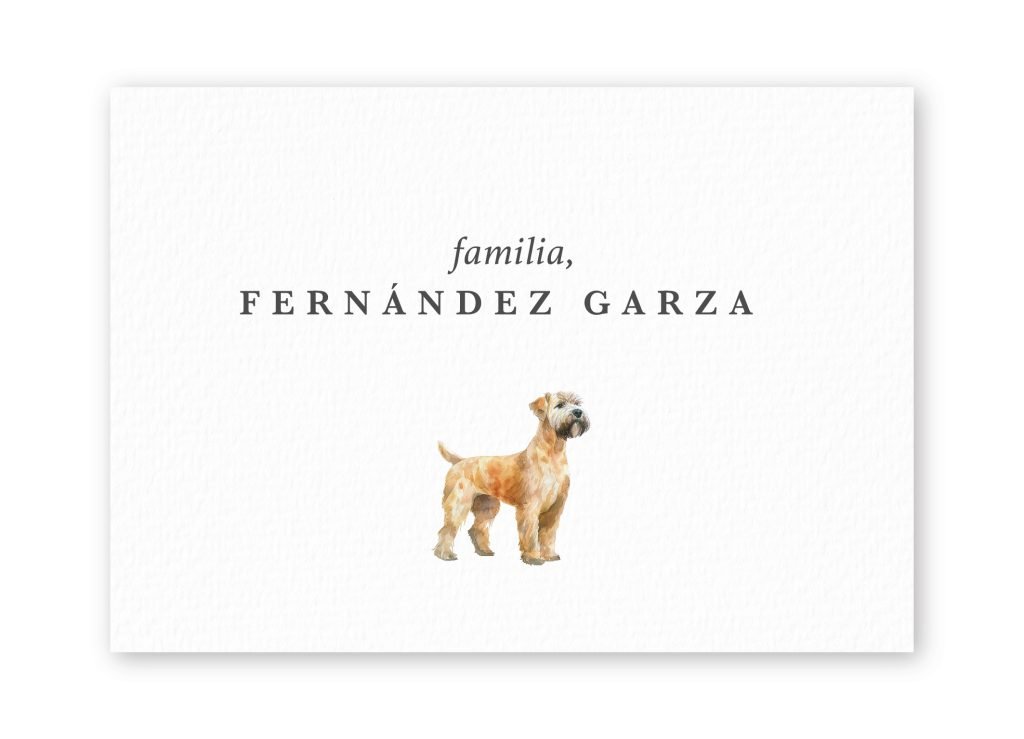 Tarjetas Soft Coated Wheaton Terrier