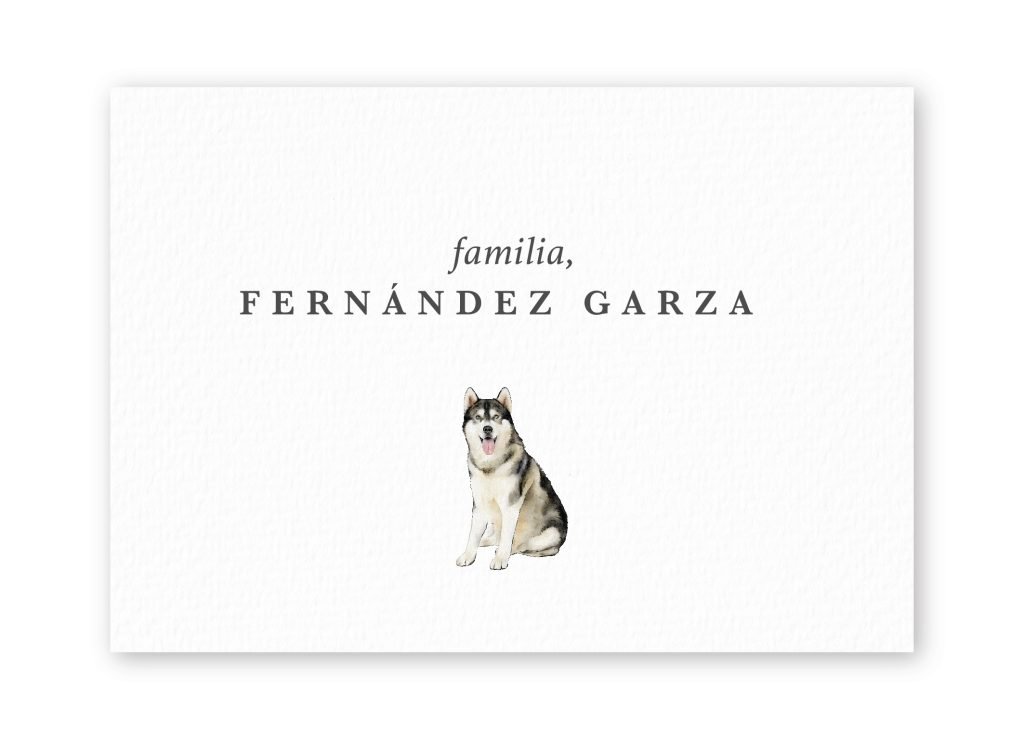 Tarjetas Siberian-Husky