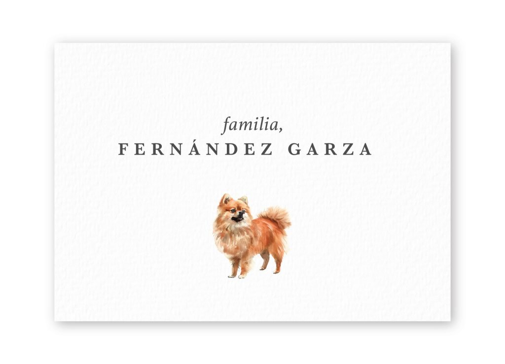 Tarjetas Pomeranian