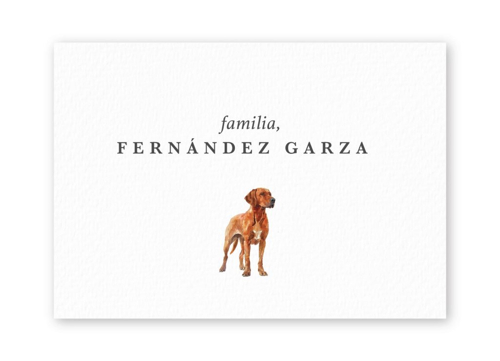 Tarjetas Redbone Coonhound