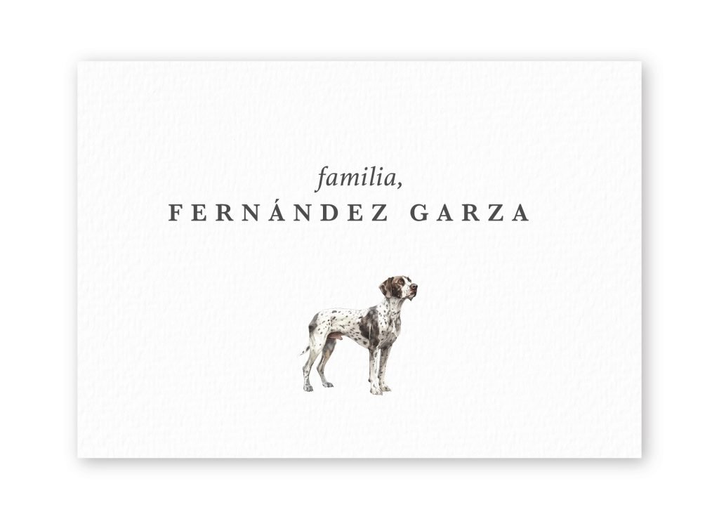 Tarjetas Pointer