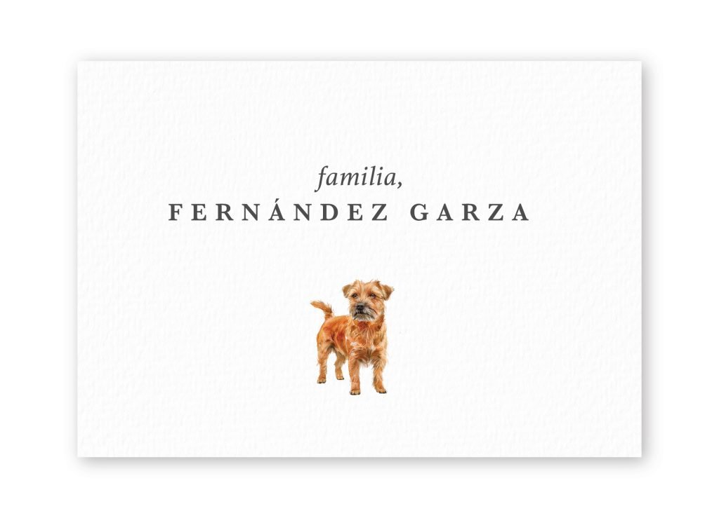Tarjetas Norfolk Terrier