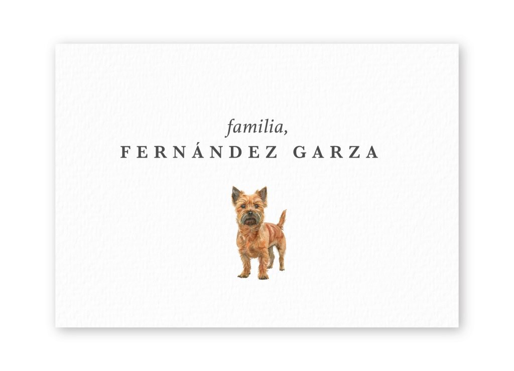 Tarjetas Norwich Terrier