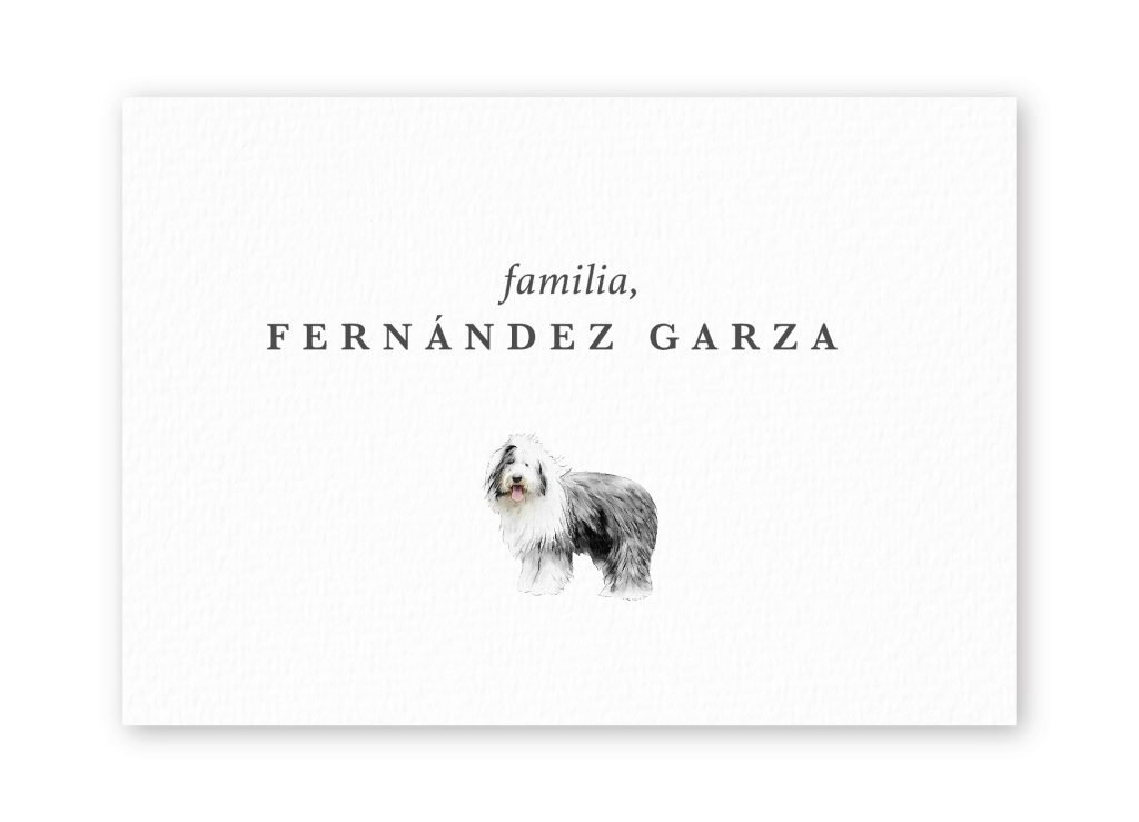 Tarjetas Old English Sheepdog