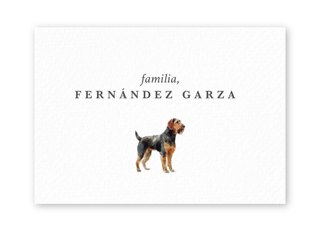 Tarjetas Otterhound