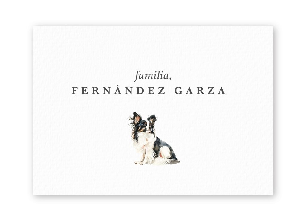 Tarjetas Papillon