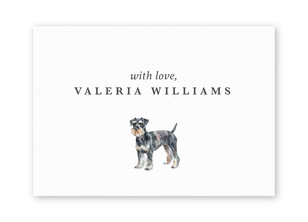 Tarjetas Miniature Schnauzer