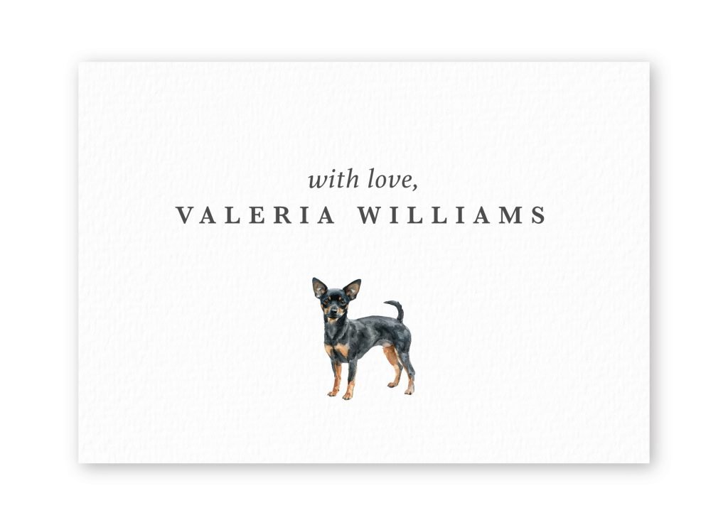 Tarjetas Miniature Pinscher