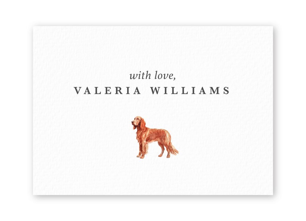 Irish Setter
