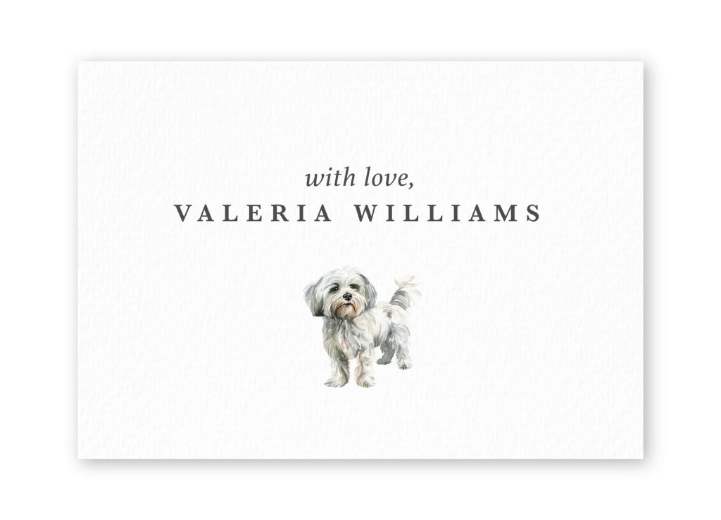 Tarjetas Havanese