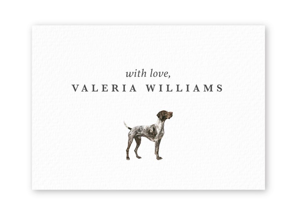 Tarjetas German Pointer