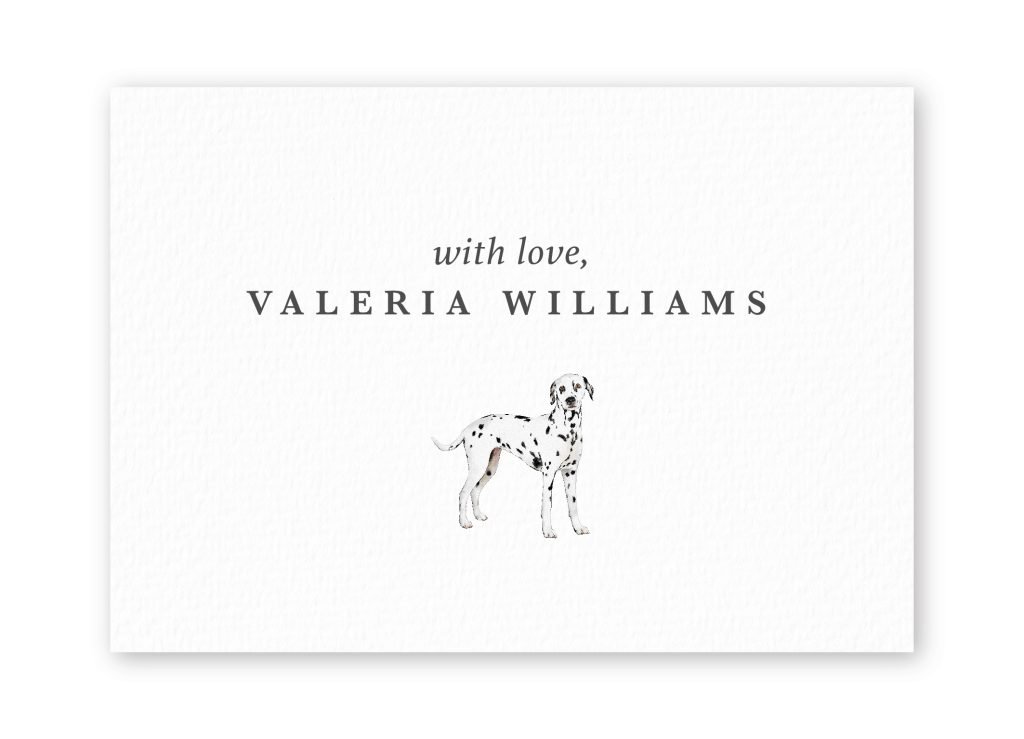 Tarjetas Dalmatian