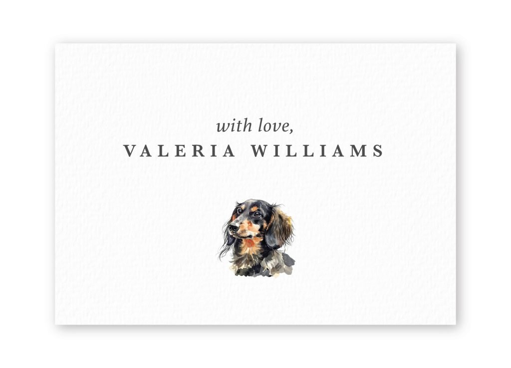 Tarjetas Dachshund
