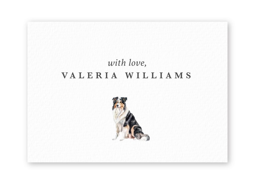 Tarjetas Collie