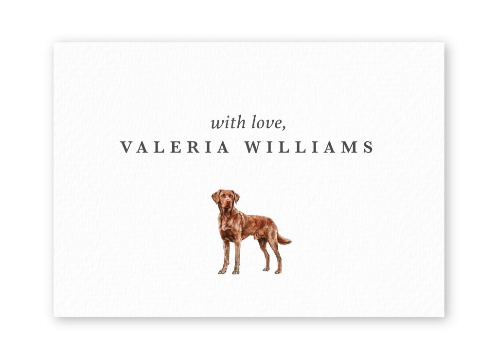 Tarjetas Chesapeak Bay Retriever