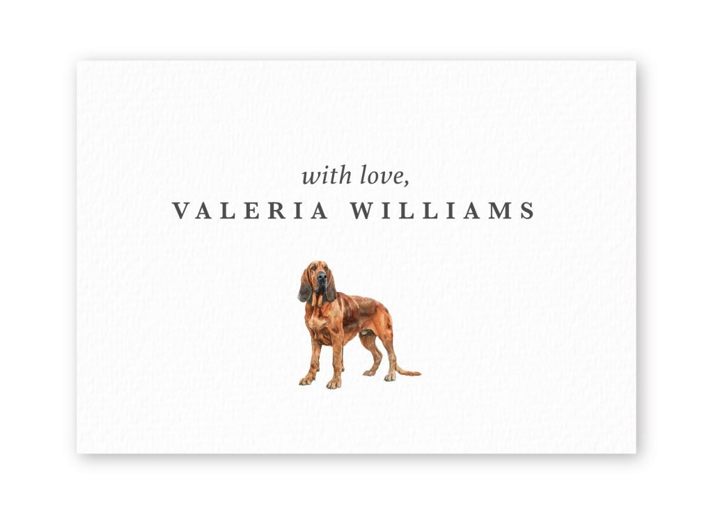Tarjetas Bloodhound
