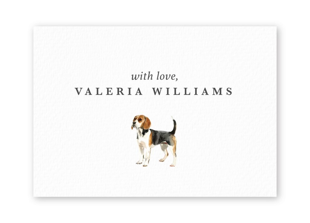 Tarjetas Beagle