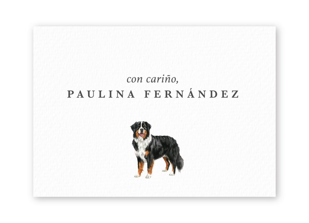 Tarjetas Bernese Mountain