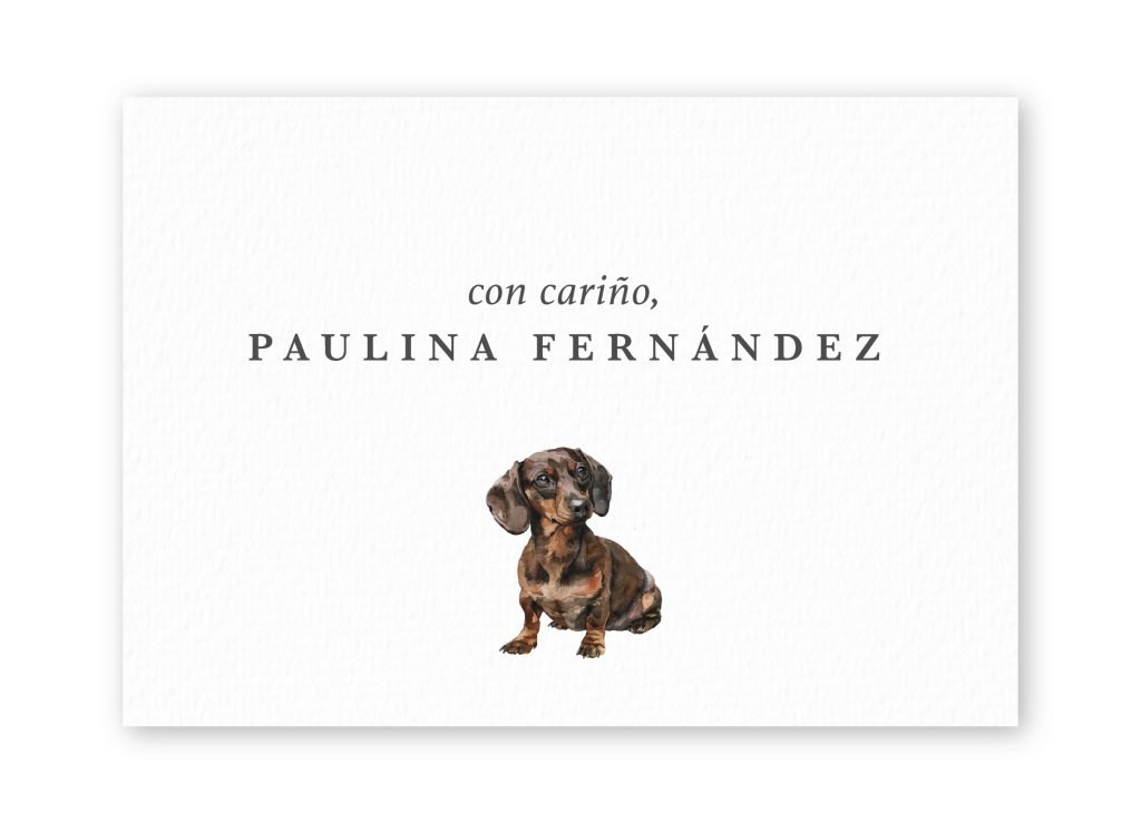 Tarjetas Dachshund