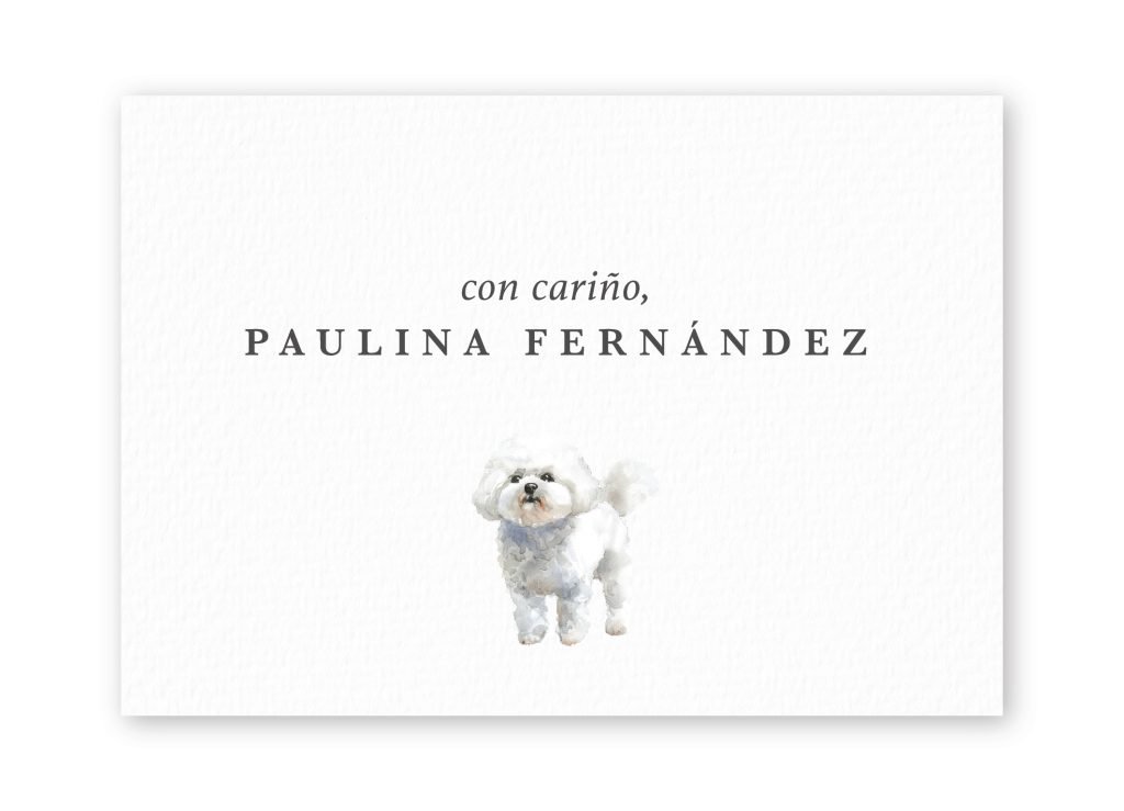 Tarjetas Bichon Frise