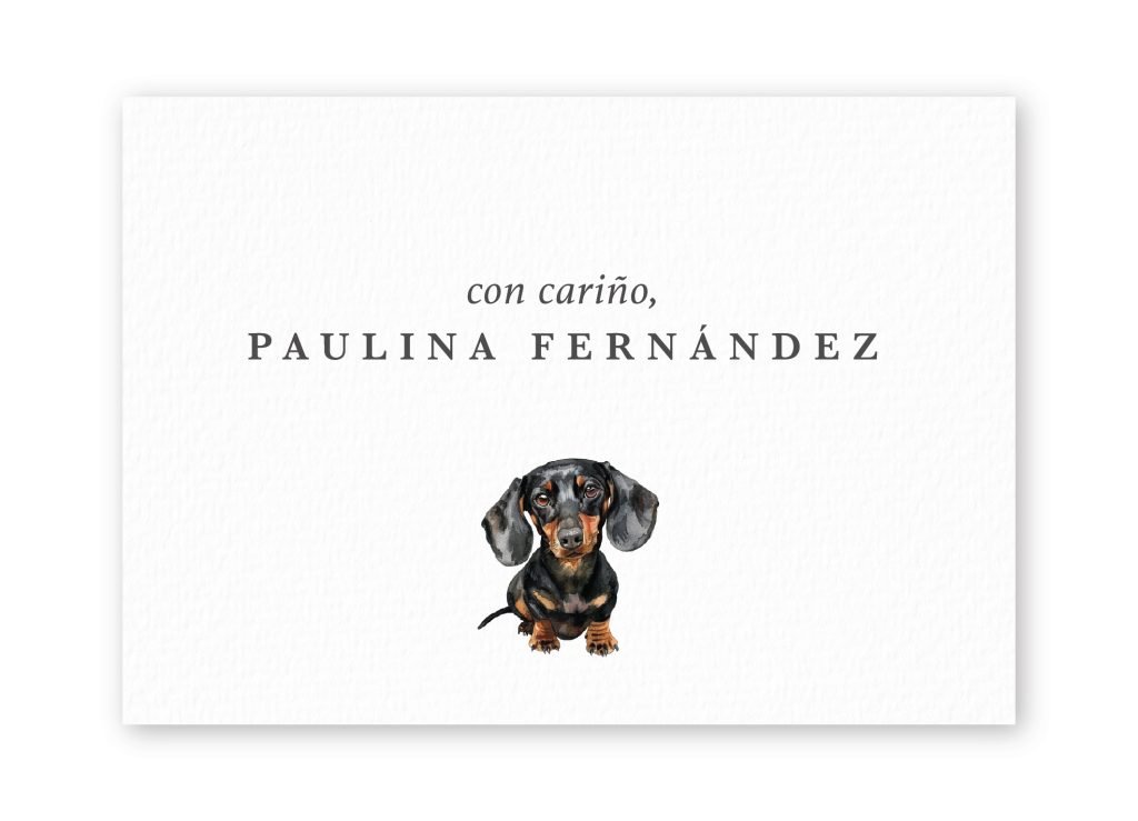 Tarjetas Dachshund