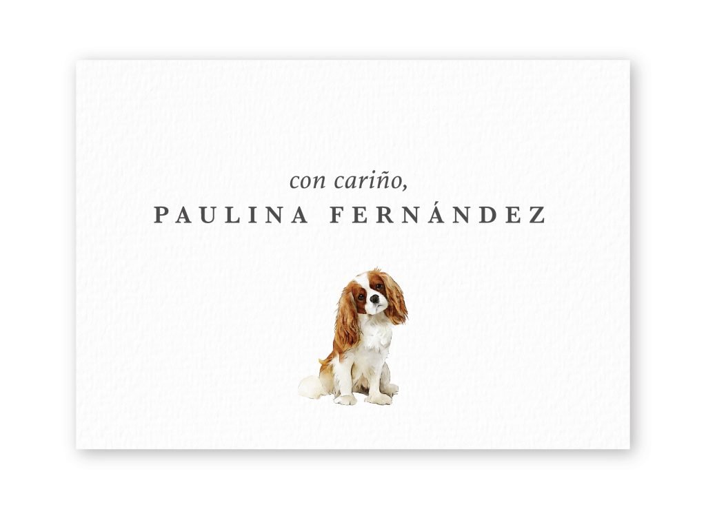 Tarjetas Cavalier-King-Charles-Spaniel