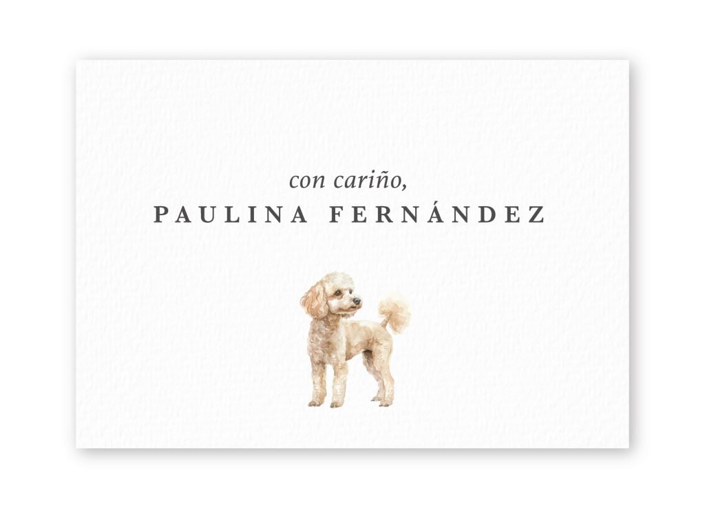 Tarjetas Poodle
