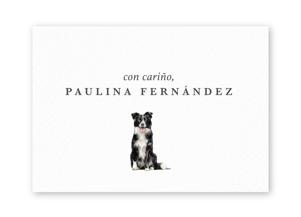 Tarjetas Border-Collie