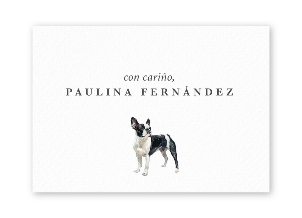 Tarjetas Boston Terrier