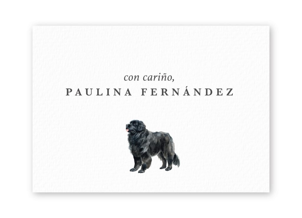 Tarjetas Newfoundland