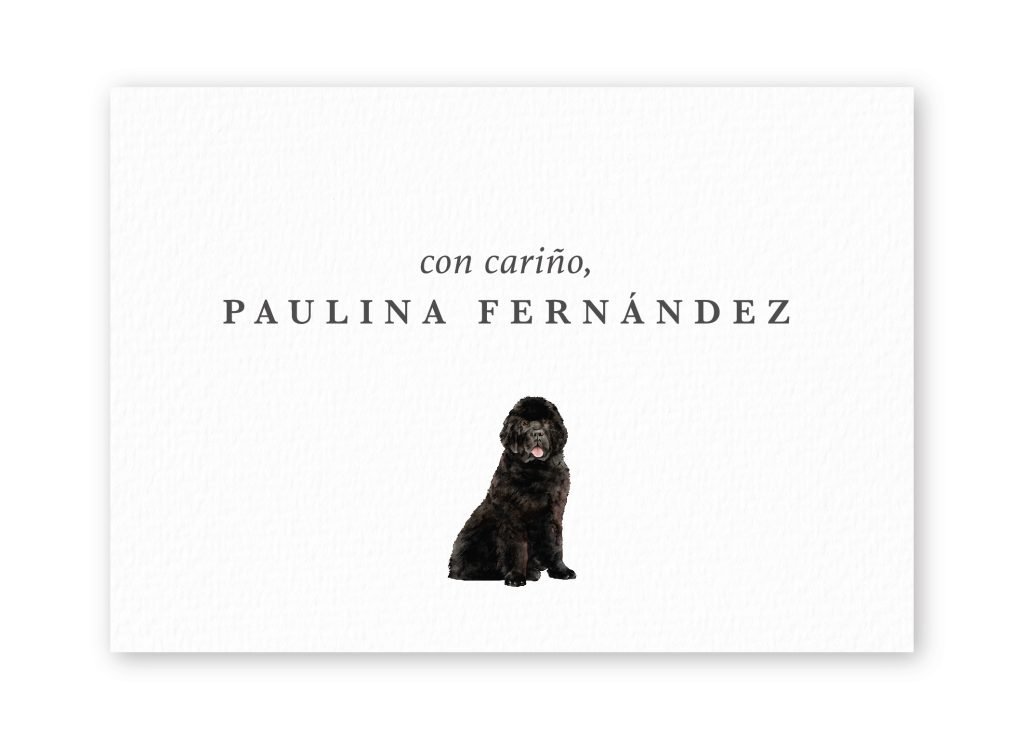 Tarjetas Newfoundland