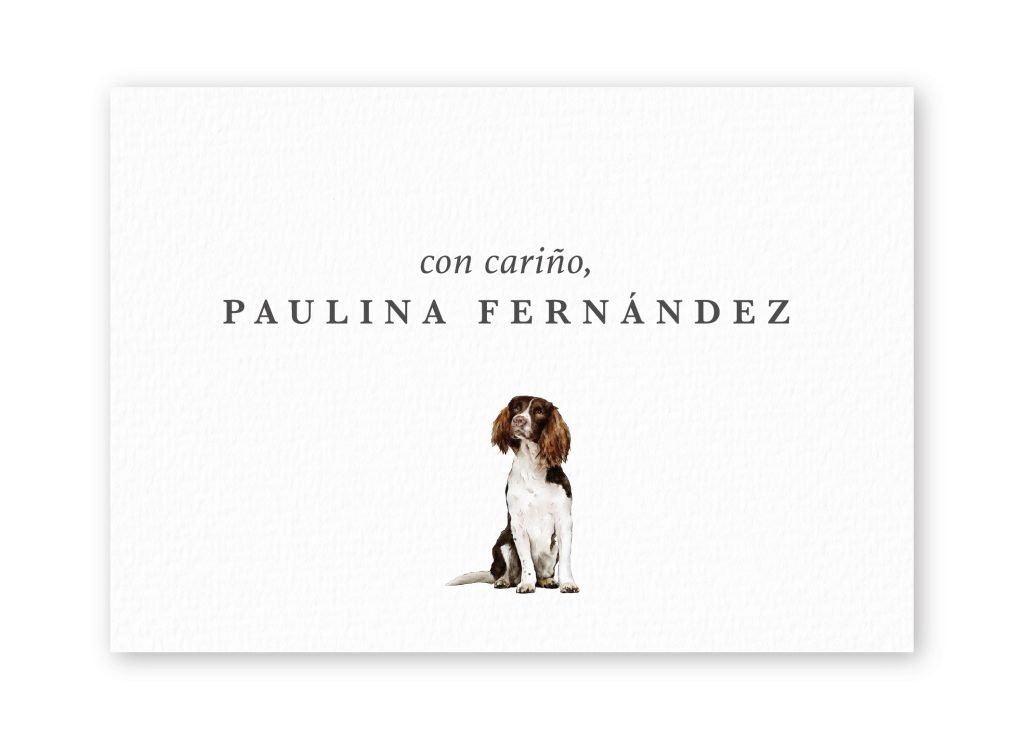 Tarjetas English-Springer-Spaniel