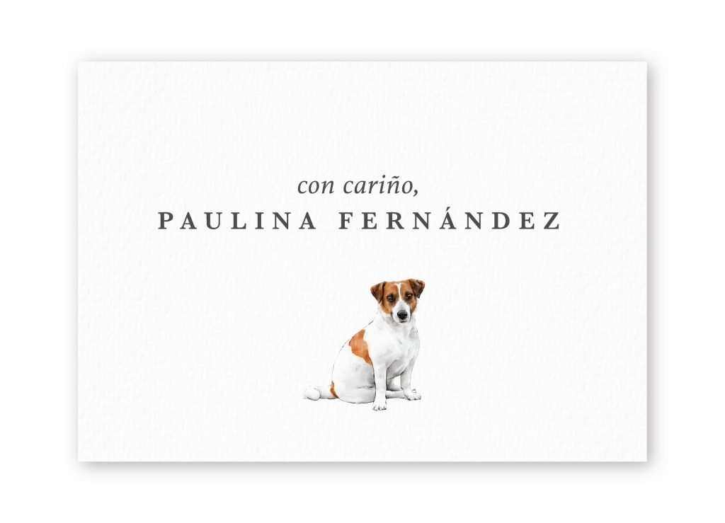 Tarjetas Jack-Russell-Terrier