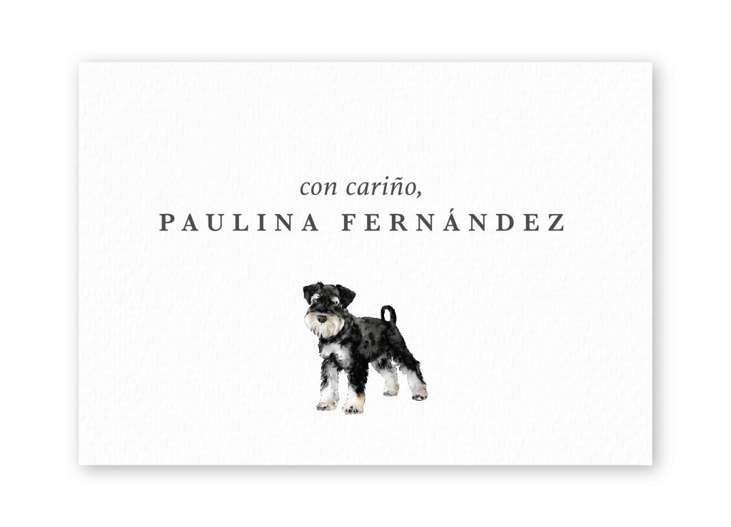Tarjetas Miniature Schnauzer