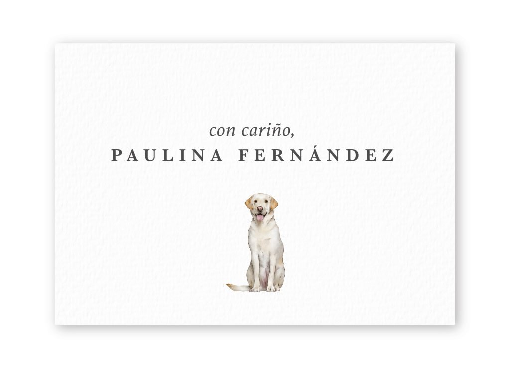 Tarjetas Labrador-Retriever