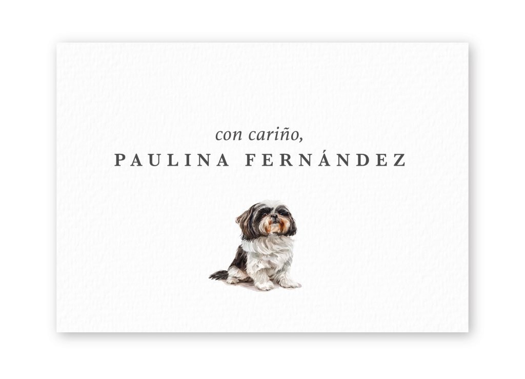 Tarjetas Shih Tzu
