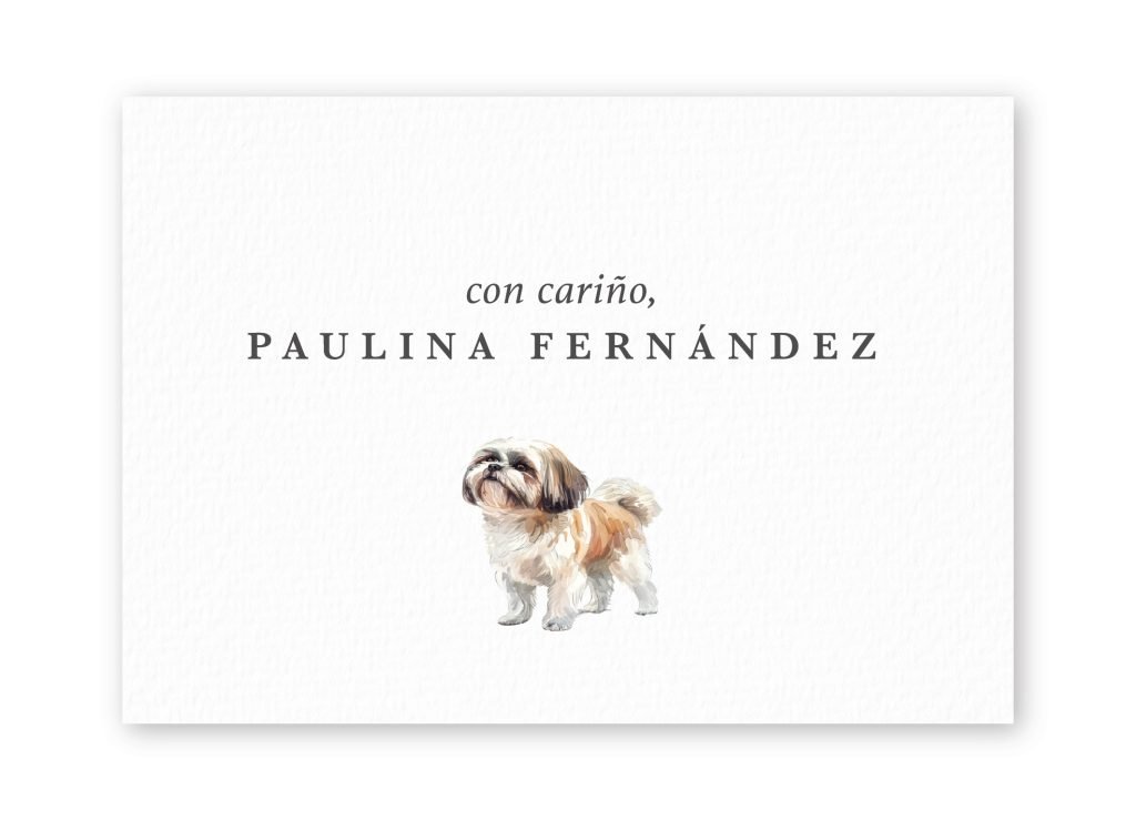 Tarjetas Shih Tzu