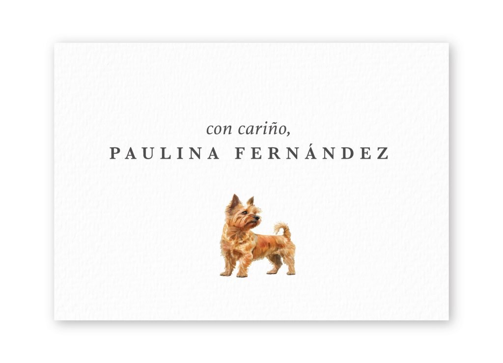 Tarjetas Norwich Terrier