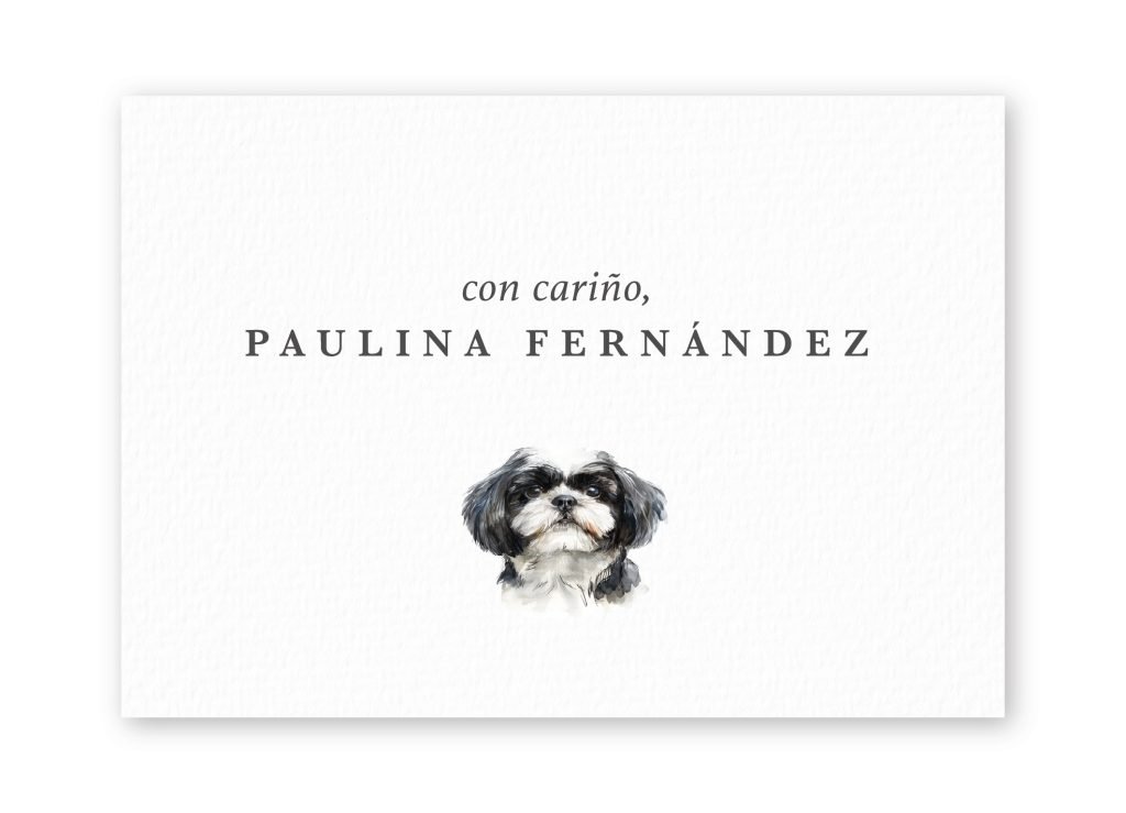 Tarjetas Shih Tzu